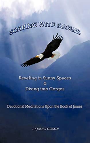 9781426974441: Soaring With Eagles: Reveling in Sunny Spaces and Diving into Gorges Devotional Meditations Upon the Book of James