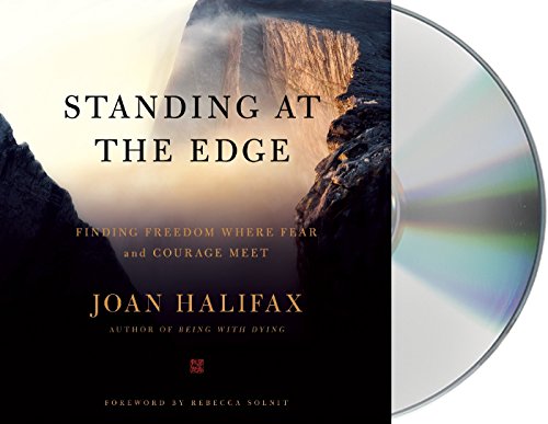 9781427296887: Standing at the Edge: Finding Freedom Where Fear and Courage Meet