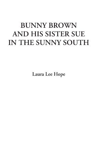 Stock image for Bunny Brown and His Sister Sue in the Sunny South for sale by Revaluation Books