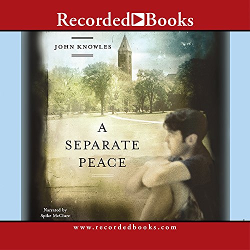 Stock image for A SEPARATE PEACE for sale by BennettBooksLtd