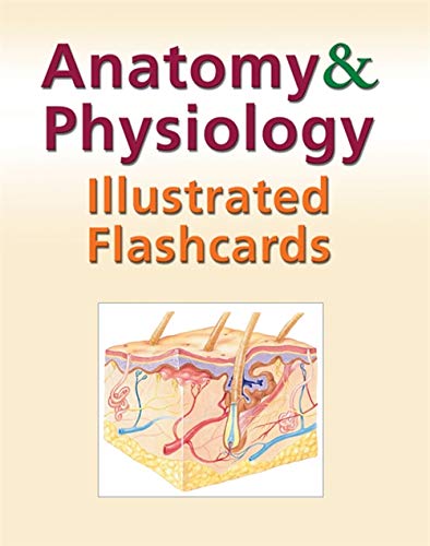 Imagen de archivo de Anatomy and Physiology Illustrated Flashcards a la venta por BooksRun