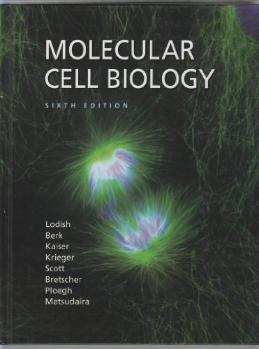 Stock image for Molecular Cell Biology 6e for sale by Better World Books Ltd