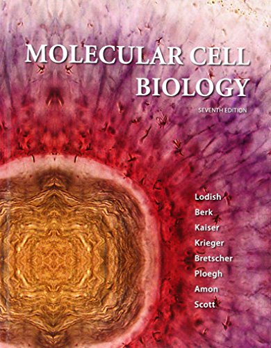 Beispielbild fr Molecular Cell Biology zum Verkauf von BookHolders