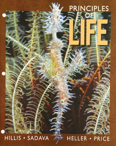 Imagen de archivo de Concepts of Life a la venta por HPB-Red