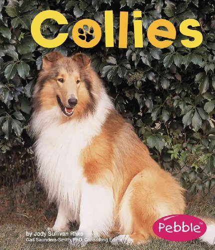 Beispielbild fr Collies (Pebble Books) zum Verkauf von Hawking Books