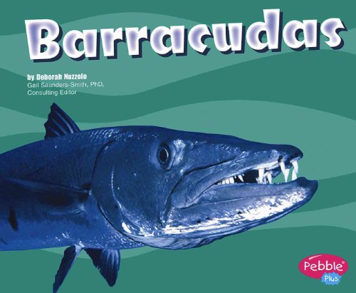 Stock image for Barracudas for sale by Better World Books