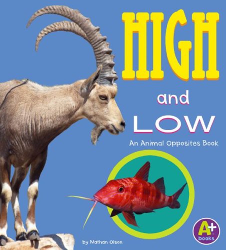 Imagen de archivo de High and Low : An Animal Opposites Book a la venta por Better World Books