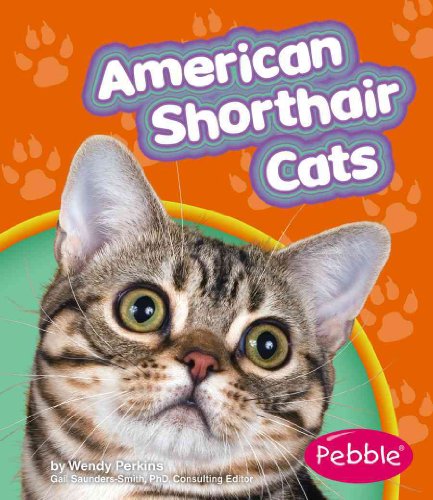 9781429612159: American Shorthair Cats (Pebble Books: Cats)