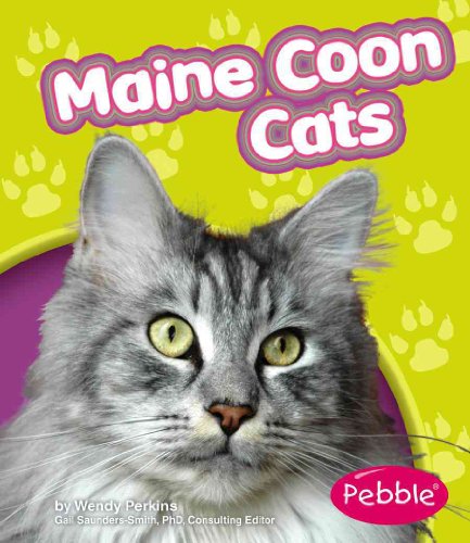 Stock image for Maine Coon Cats for sale by ThriftBooks-Atlanta