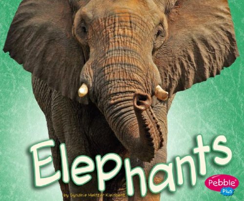 Stock image for Elephants (Pebble Plus: African Animals) for sale by Irish Booksellers