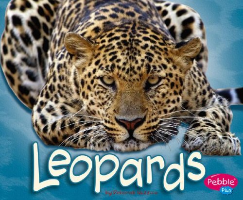 Stock image for Leopards (African Animals) for sale by SecondSale