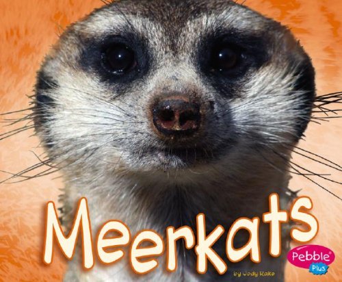 Beispielbild fr Meerkats (Pebble Plus: African Animals) zum Verkauf von Irish Booksellers