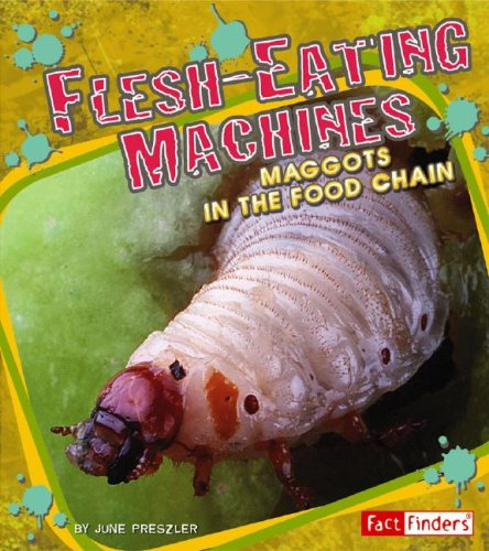 Imagen de archivo de Flesh-Eating Machines: Maggots in the Food Chain (Fact Finders; Extreme Life) a la venta por More Than Words