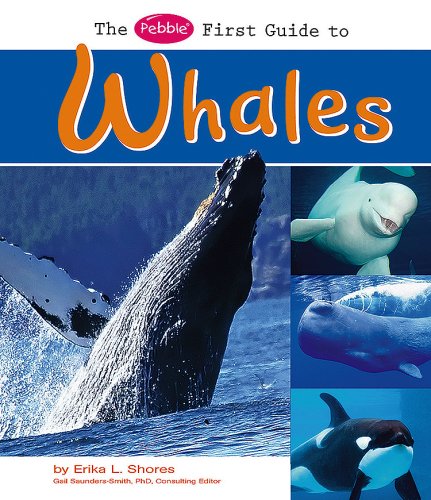 Beispielbild fr The Pebble First Guide to Whales zum Verkauf von ThriftBooks-Dallas