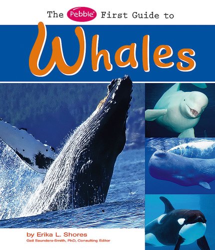 Stock image for The Pebble First Guide to Whales for sale by Better World Books: West