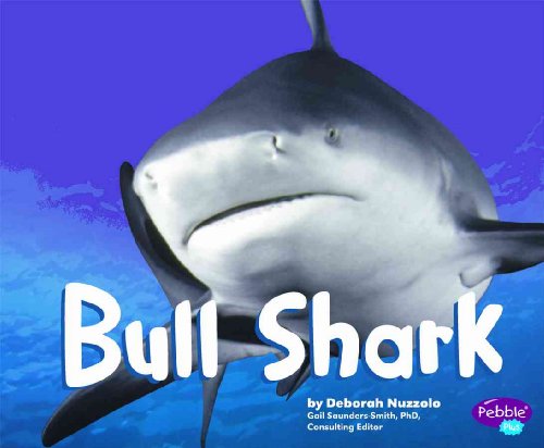 Stock image for Bull Shark for sale by Better World Books