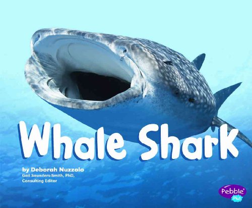 Stock image for Whale Shark (Pebble Plus: Sharks) for sale by Irish Booksellers
