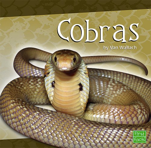 9781429619233: Cobras (First Facts: Snakes)