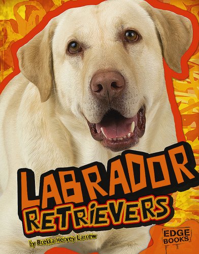 Beispielbild fr Labrador Retrievers zum Verkauf von ThriftBooks-Dallas