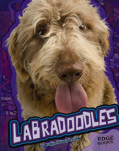 Imagen de archivo de Labradoodles a la venta por ThriftBooks-Dallas