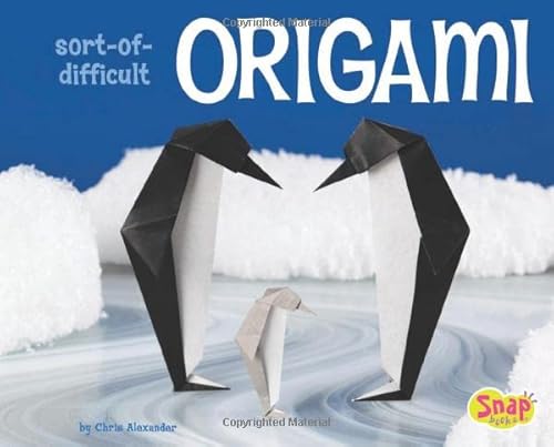 9781429620239: Sort-Of-Difficult Origami