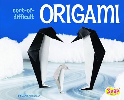 9781429620239: Sort-of-Difficult Origami