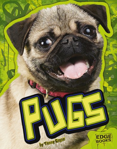 Beispielbild fr Pugs (Edge Books: All About Dogs) zum Verkauf von Goodwill of Colorado
