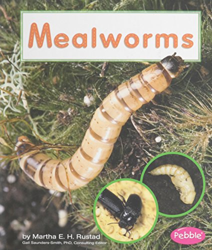 Mealworms (Pebble Books: Watch It Grow) (9781429622264) by Rustad, Martha E. H.