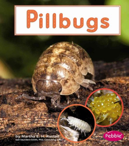 9781429622295: Pillbugs