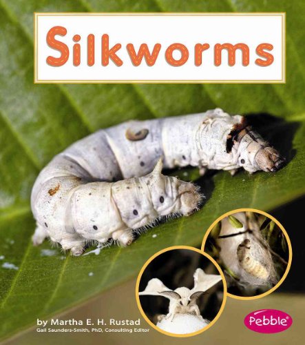 Silkworms (Pebble Books/Watch It Grow) (9781429622301) by Rustad, Martha E. H.