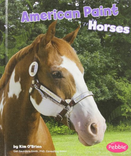 Imagen de archivo de American Paint Horses a la venta por Better World Books