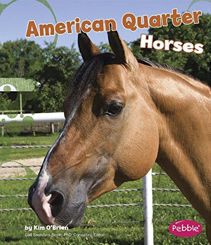 Beispielbild fr American Quarter Horses zum Verkauf von Better World Books
