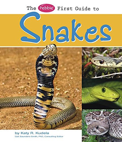 9781429622431: The Pebble First Guide to Snakes (Pebble Books: Pebble First Guides)
