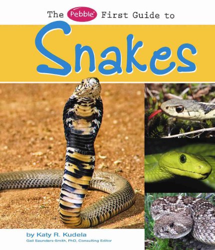 9781429622431: The Pebble First Guide to Snakes (Pebble Books: Pebble First Guides)