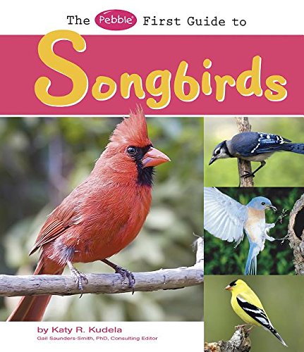 Stock image for The Pebble First Guide to Songbirds for sale by Better World Books