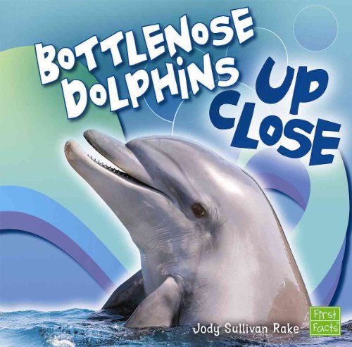 Beispielbild fr Bottlenose Dolphin up Close zum Verkauf von Better World Books