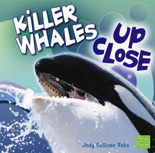 Beispielbild fr Killer Whales up Close zum Verkauf von Better World Books