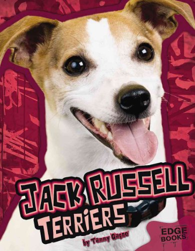 Beispielbild fr Jack Russell Terriers (Edge Books) zum Verkauf von Jenson Books Inc