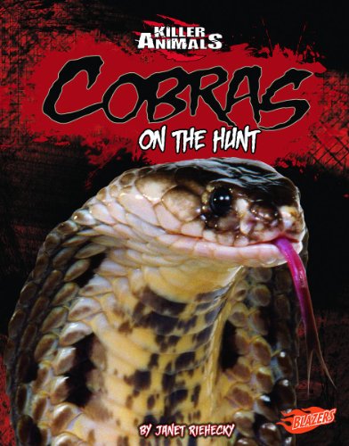 Beispielbild fr Cobras: On the Hunt (Killer Animals) zum Verkauf von SecondSale