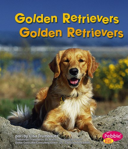 Stock image for Golden Retrievers/Golden Retrievers (Perritos/Dogs) (English and for sale by Hawking Books