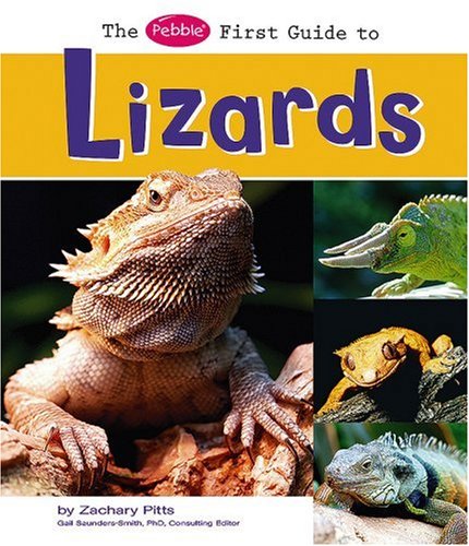 Stock image for The Pebble First Guide to Lizards (Pebble First Guides) for sale by Buchpark