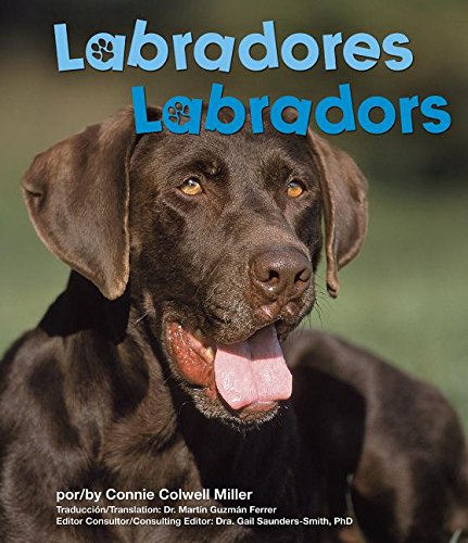 Labradores/ Labradors (Perritos/ Dogs) (Spanish and English Edition) (9781429632560) by Miller, Connie C.