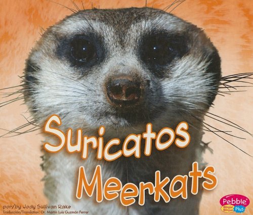 Stock image for Suricatos/Meerkats (Animales africanos/African Animals) (Multilingual Edition) for sale by dsmbooks