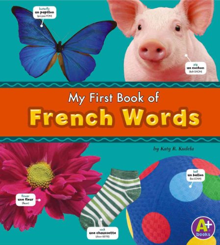 Stock image for My First Book of French Words (Bilingual Picture Dictionaries) (English and French Edition) for sale by SecondSale