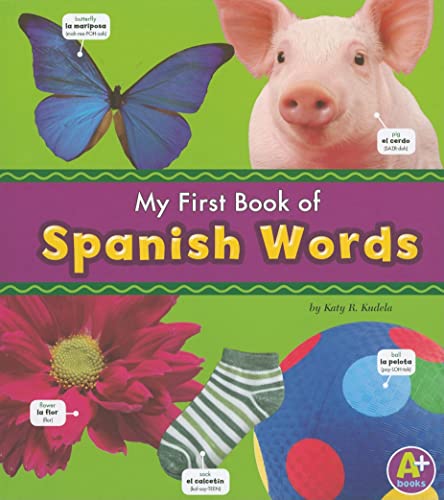 Imagen de archivo de My First Book of Spanish Words (Bilingual Picture Dictionaries) (English and Spanish Edition) a la venta por SecondSale