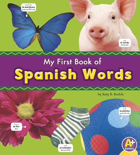 Stock image for My First Book of Spanish Words (Bilingual Picture Dictionaries) (English and Spanish Edition) for sale by SecondSale