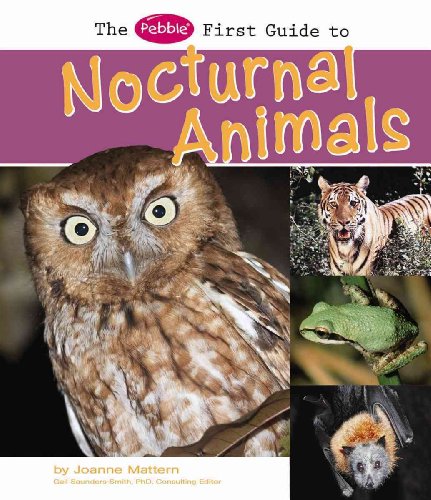 The Pebble First Guide to Nocturnal Animals (Pebble Books: Pebble First Guides) (9781429633079) by Mattern, Joanne