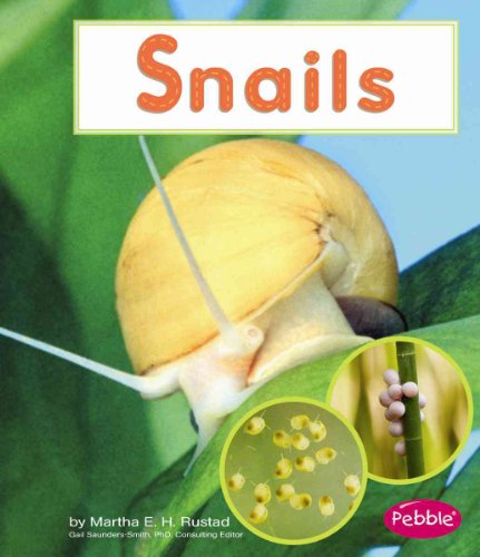 9781429633086: Snails (Pebble Books: Watch it Grow)