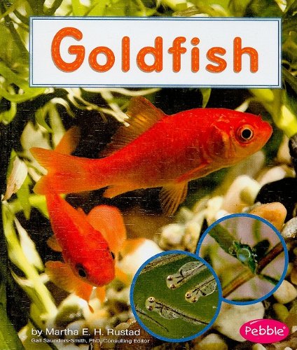 9781429633093: Goldfish