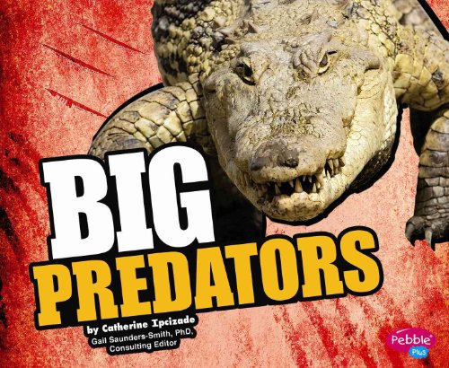 Imagen de archivo de Big Predators a la venta por SecondSale